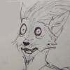 rakoonz13's Avatar